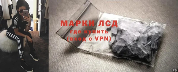 гашик Няндома