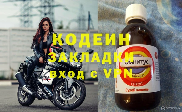 гашик Няндома