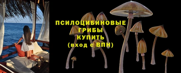 гашик Няндома