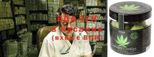 гашик Няндома