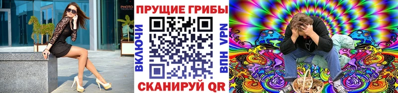 нарко площадка как зайти  Инза  Псилоцибиновые грибы Psilocybe 