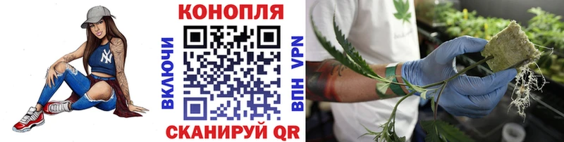 где найти наркотики Инза МАРИХУАНА ГИДРОПОН